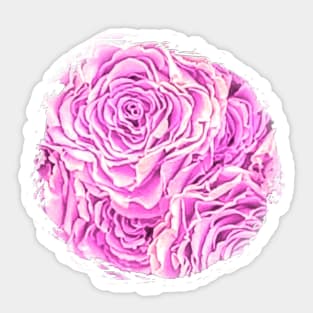 Light Pink Rose Sticker